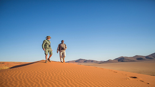 Dune-Ecology-Guided-Walk